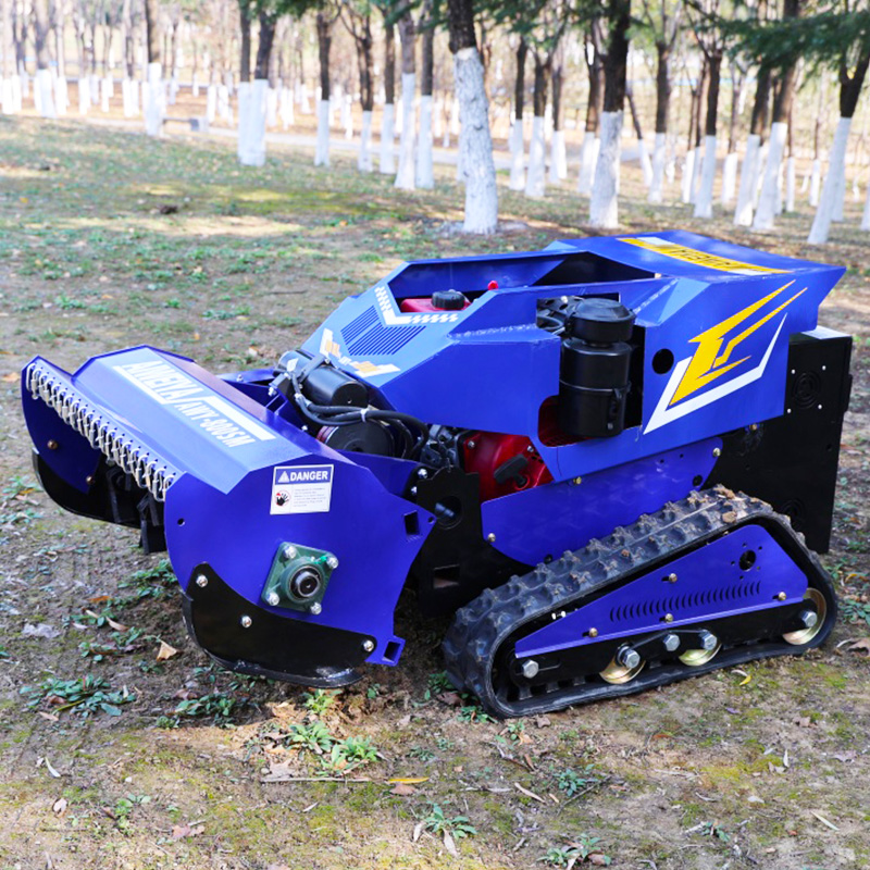 Maßgeschneiderter Winter-Schne – Snow Blower Single Bewertung und Preis