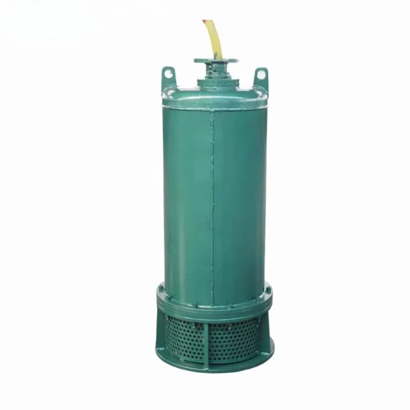 Hocheffiziente Gusseisen-Zentr – Water Pump Submersible Bewertung und Preis
